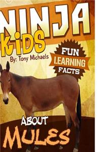 Fun Learning Facts about Mules