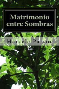 Matrimonio Entre Sombras: Historias de Vida En Recuperacion