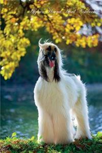 Afghan Hound April Notebook Afghan Hound Record, Log, Diary, Special Memories, To Do List, Academic Notepad, Scrapbook & More