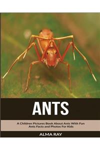 Ants