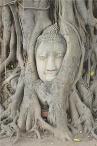 Wat Mahathat Stone Buddha in Tree Roots, Thailand Journal