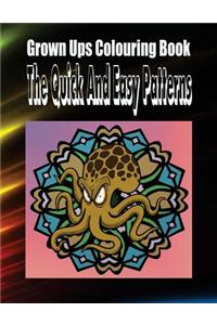 Grown Ups Colouring Book the Quick and Easy Patterns Mandalas