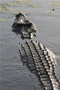 Saltwater Crocodile Reptile Journal