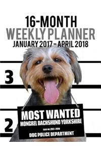 2017-2018 Weekly Planner - Most Wanted Mongrel Dachshund Yorkshire