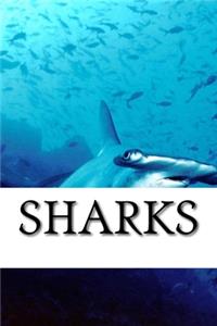 Shark Journal