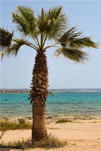 Palm Tree on the Beach in Cyprus Journal