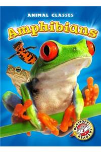 Amphibians