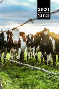 Cow Cattle Farming Farmer Week Planner Weekly Organizer Calendar 2020 / 2021 - In the Pasture