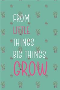 From Little Things Big Things Grow