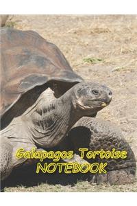 Galapagos Tortoise NOTEBOOK