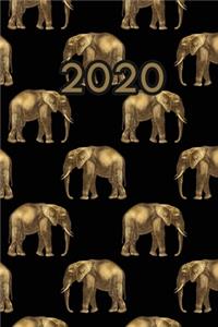 2020