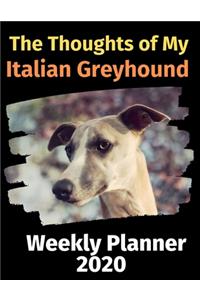 The Thoughts of My Italian Greyhound