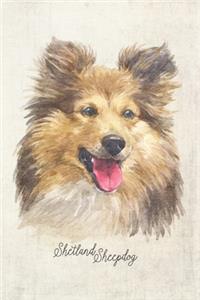 Shetland Sheepdog Portrait Notebook