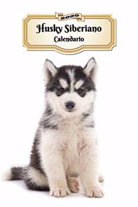 2020 Husky Siberiano Calendario