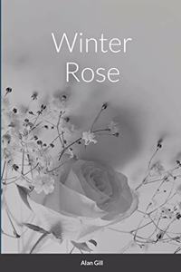 Winter Rose