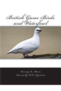 British Game Birds and Waterfowl