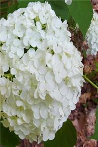 White Hydrangea 2019 Weekly Planner 134 Pages