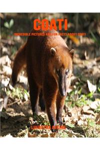 Coati: Incredible Pictures and Fun Facts about Coati