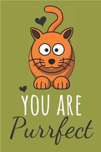 You Are Purrfect