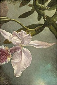 Orchid Blossoms Notebook