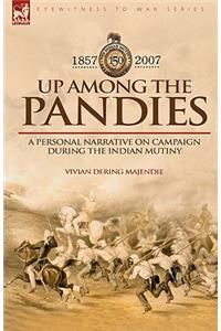 Up Among the Pandies