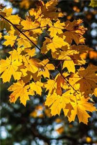 Autumn Gold Notebook