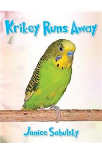 Krikey Runs Away