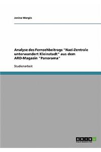 Analyse des Fernsehbeitrags 