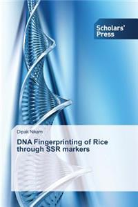 DNA Fingerprinting of Rice through SSR markers