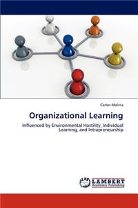 Organizational Learning