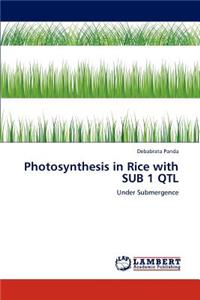 Photosynthesis in Rice with Sub 1 Qtl