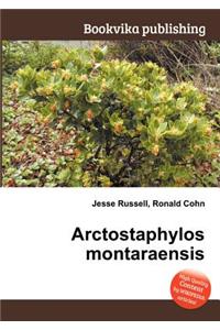Arctostaphylos Montaraensis