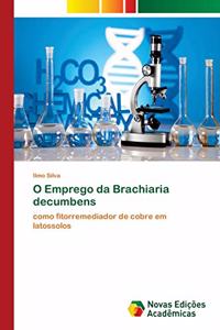 O Emprego da Brachiaria decumbens