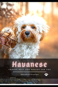 Havanese