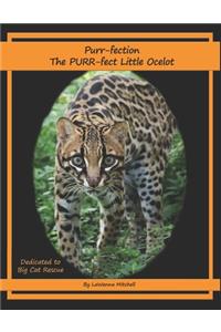 Purr-fection, the PURR-fect Little Ocelot