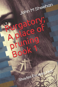 Purgatory; A place of pruning Book 1