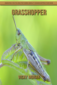 Grasshopper