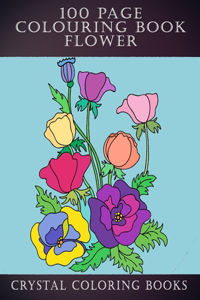 100 Page Colouring Book