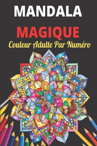 Mandala Magique Couleur Adulte Par Numéro