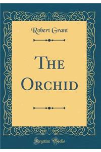 The Orchid (Classic Reprint)