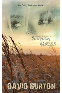 Wall Between Worlds