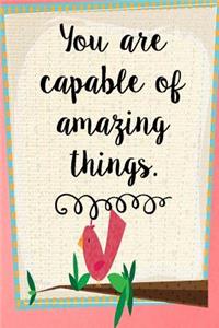 You Are Capable of Amazing Things
