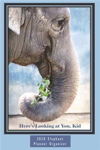 Here's Looking at You, Kid 6x9 2020 Elephant Planner Organizer: Monthly Weekly Agenda Engagement Calendar Planner