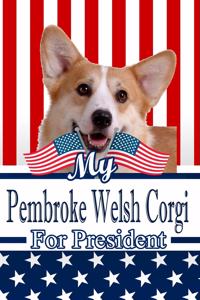 My Pembroke Welsh Corgi for President: 2020 Election Isometric Dot Paper Notebook 120 Pages 6x9