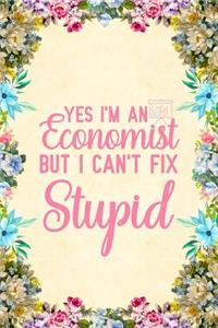 Yes I'm an Economist But I Can't Fix Stupid