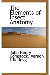 Elements of Insect Anatomy.
