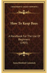 How to Keep Bees