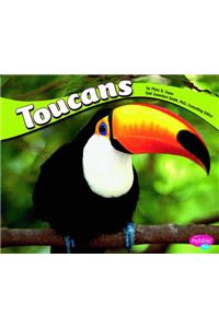 Toucans