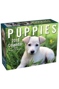 Puppies 2019 Mini Day-To-Day Calendar