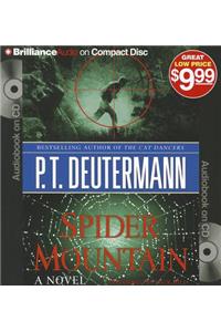 Spider Mountain